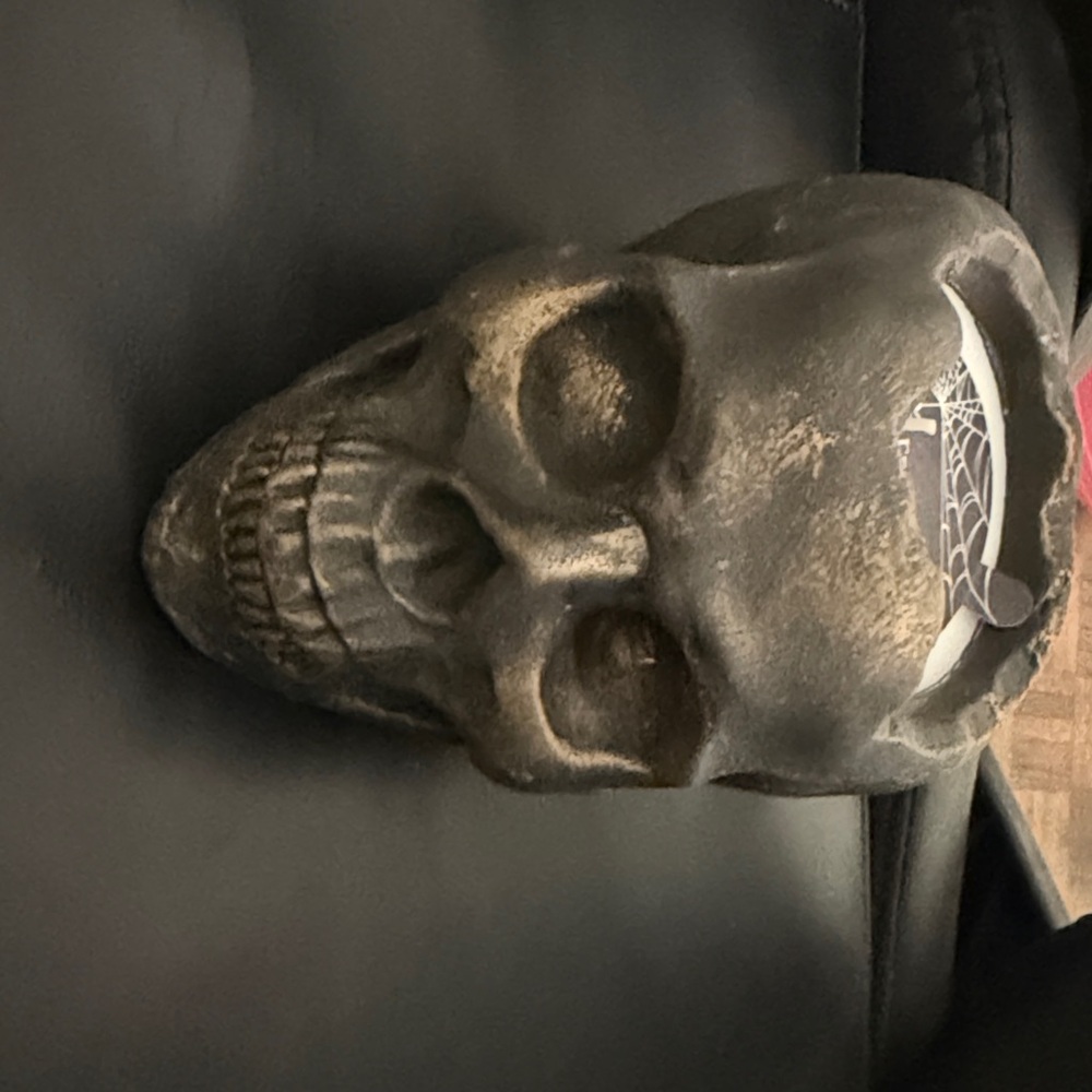 Black Skull Decor with Spider Web Design